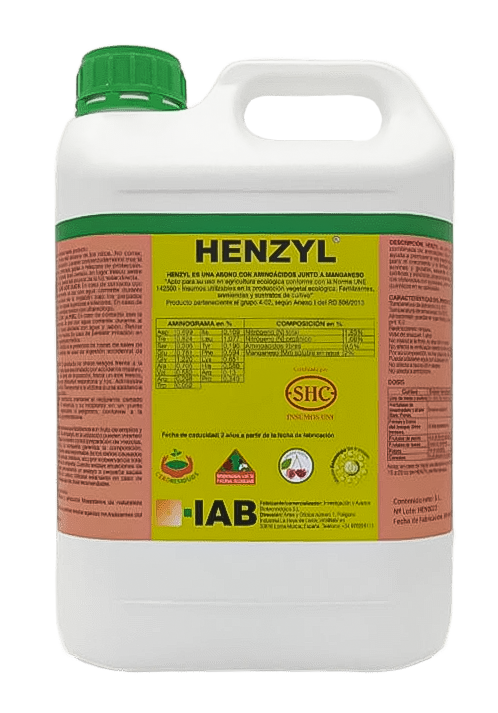 Henzyl