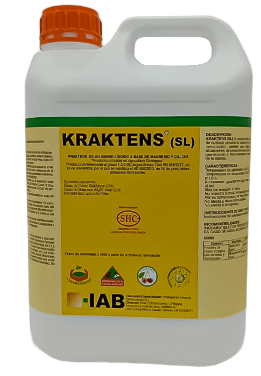 Kraktens